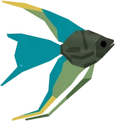 Emerald Angelfish