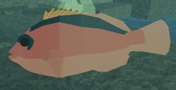 Flamekissed Hawkfish in Fisch