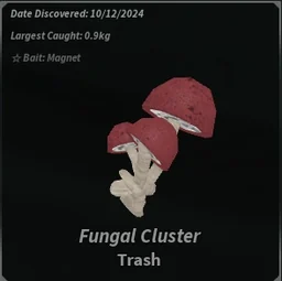Fungal Cluster in Fisch