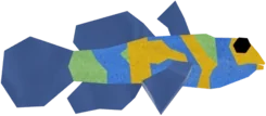 Gemscale Mandarinfish in Fisch