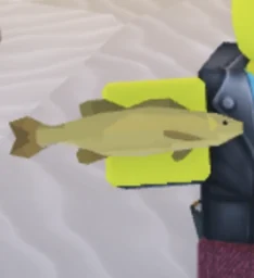 Golden Smallmouth Bass in Fisch