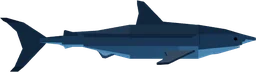Great White Shark