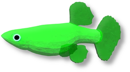 Gummy Guppy in Fisch