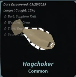 Hogchoker in Fisch