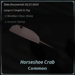 Horseshoe Crab in Fisch