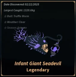 Infant Giant Seadevil in Fisch