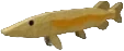 Marrow Pike