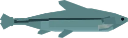 Minnow in Fisch