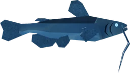 Moonridge Catfish in Fisch