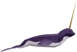 Narwhal in Fisch