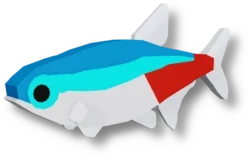 Neon Tetra in Fisch