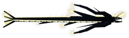 Northstar Serpent in Fisch