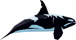 Orca in Fisch