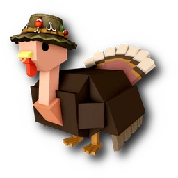 Pioneer Turkey