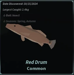 Red Drum in Fisch
