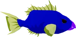 Reef Parrotfish in Fisch