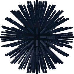 Sea Urchin in Fisch