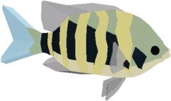 Sergeant Major in Fisch