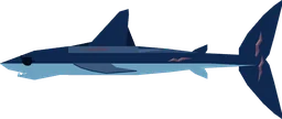 Shortfin Mako Shark in Fisch