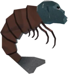 Shrimpanzee