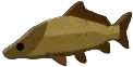 Silt-Crusted Carp in Fisch