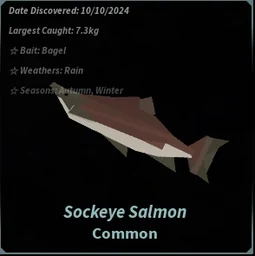Sockeye Salmon in Fisch