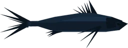 Spiderfish in Fisch