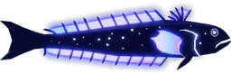 Starlit Weaver in Fisch
