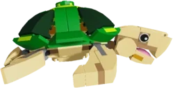 Stud Turtle in Fisch