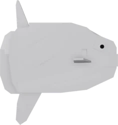 Sunfish