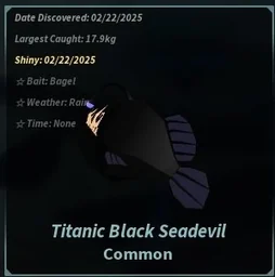 Titanic Black Seadevil in Fisch