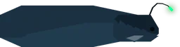 Twilight Eel in Fisch