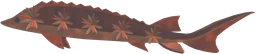 Umbraleaf Sturgeon