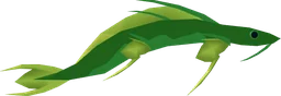 Vinefish in Fisch