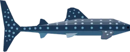 Whale Shark