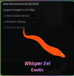 Whisper Eel in Fisch