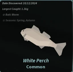 White Perch in Fisch