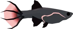 Wretched Guppy