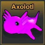 Axolotl