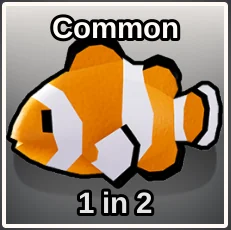 Clownfish