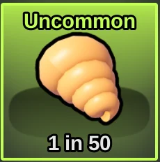 Conch Shell