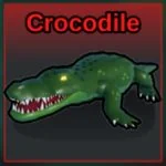 Crocodile