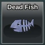 Dead Fish