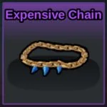 Expensive Chain