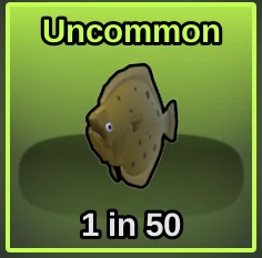 Flat Fish