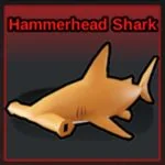 Hammerhead Shark