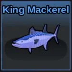 King Mackerel