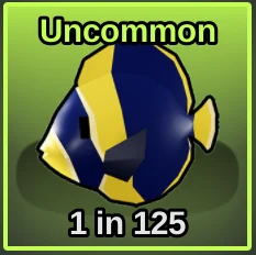 Maze Angelfish