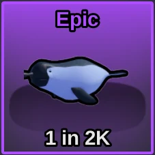 Narwhal