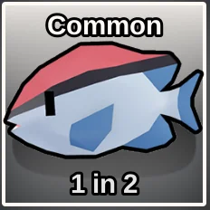 Reef Chromis